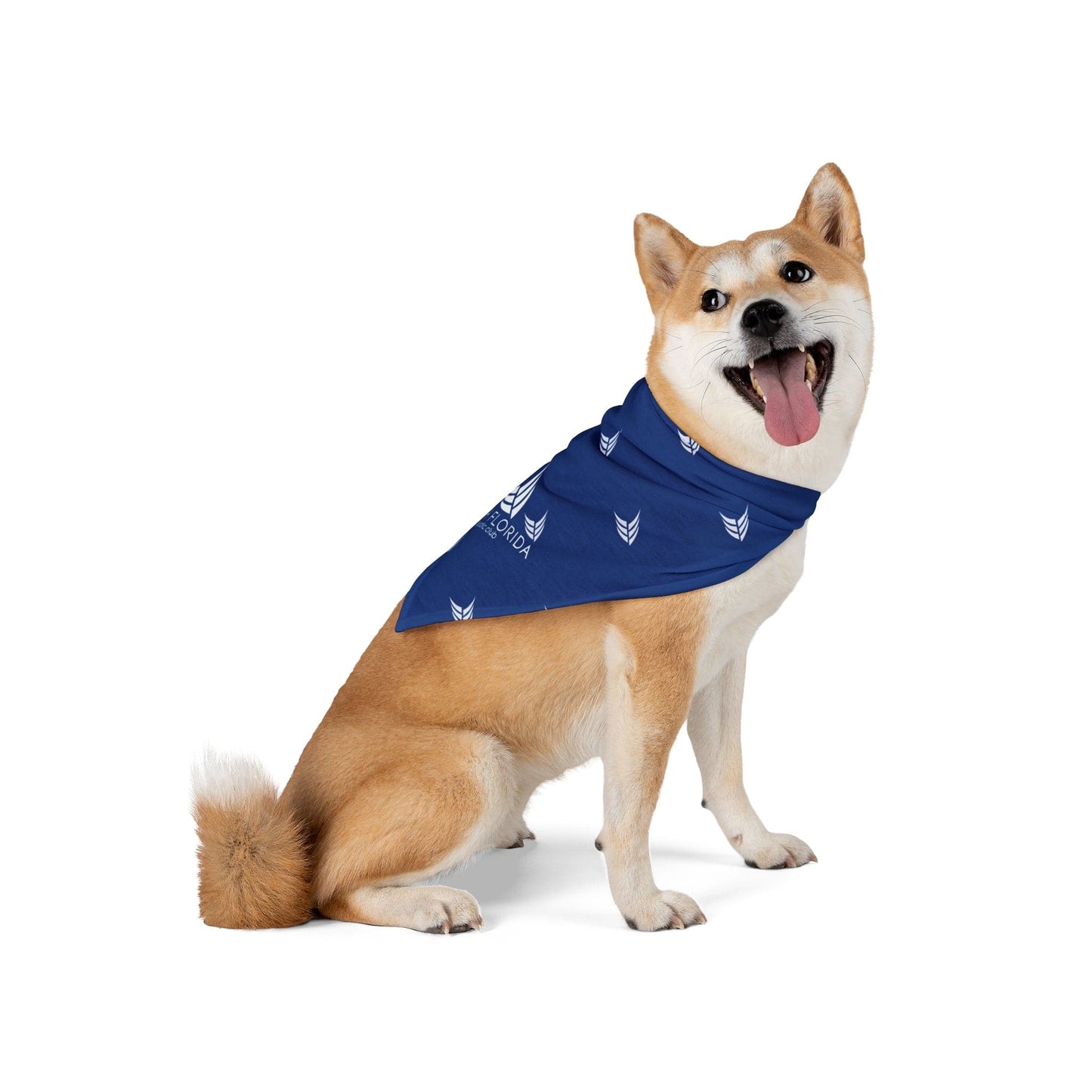 SOFLO Pet Bandana - Hooray