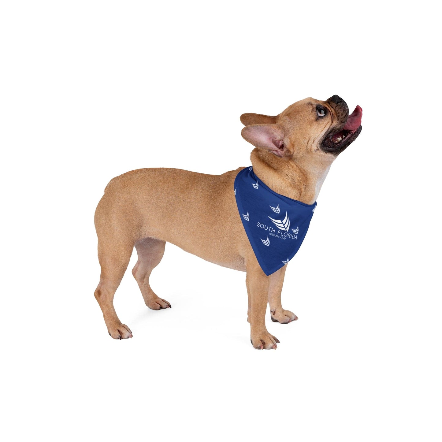 SOFLO Pet Bandana - Hooray