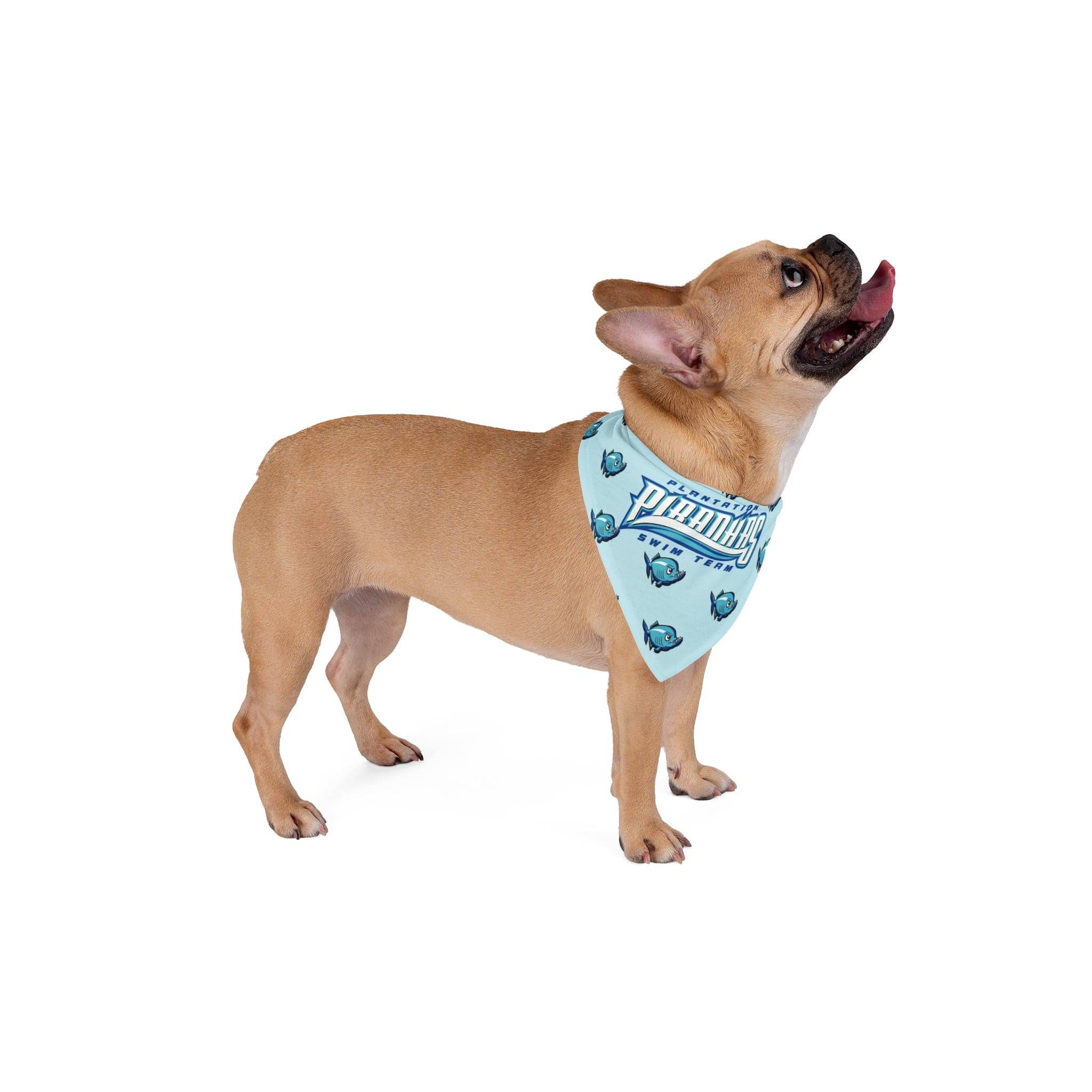 Piranhas Swim Team Pet Bandana